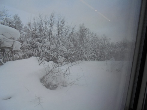 車窓から・・・雪です