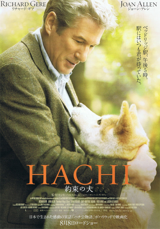 hachi.jpg